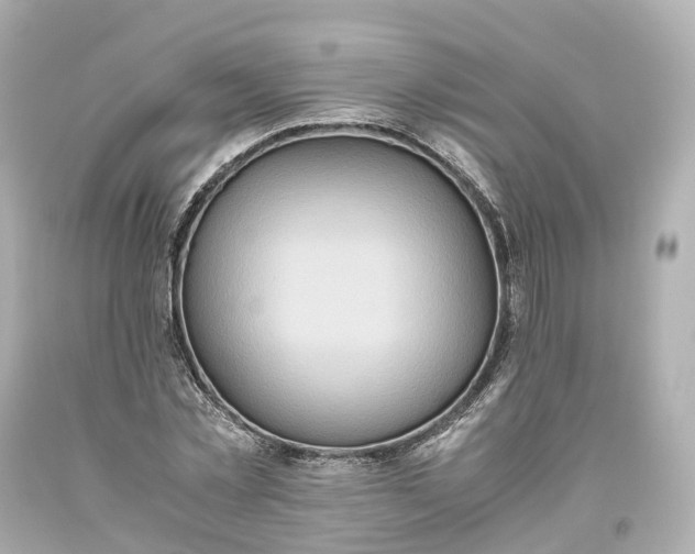 X0000093610781200710291204