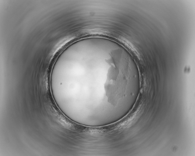 X0000093610782200710291204