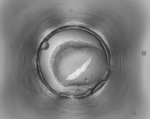 X0000093610783200710291204