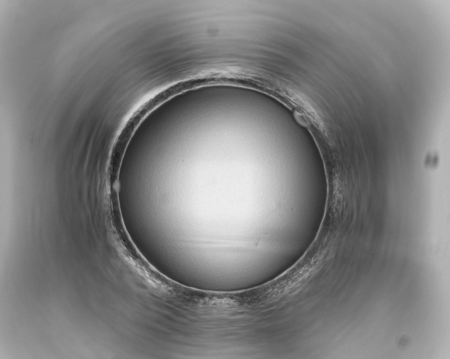 X0000093610784200710291204