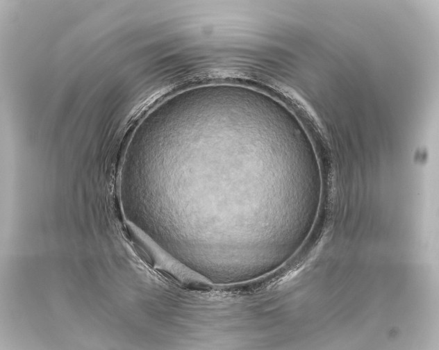 X0000093610785200710291204