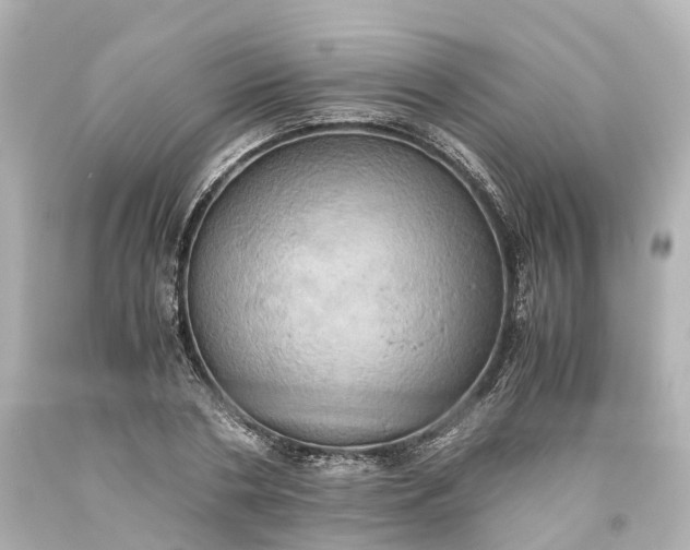 X0000093610786200710291204