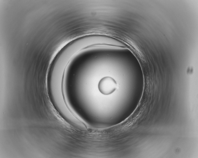 X0000093610788200710291204