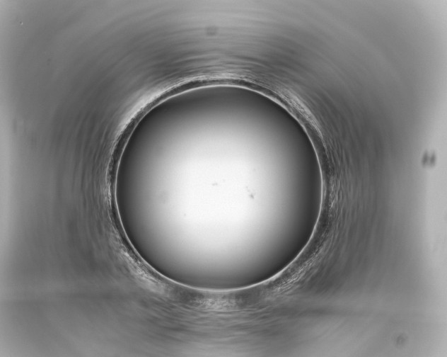 X0000093610789200710291204