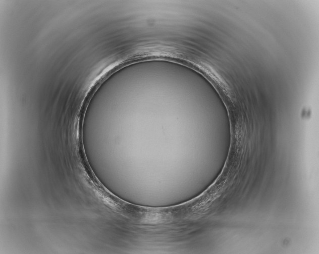 X0000093610790200710291204