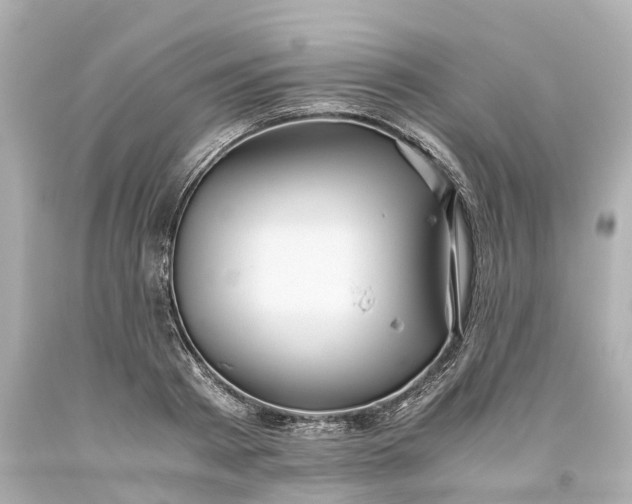 X0000093610793200710291204