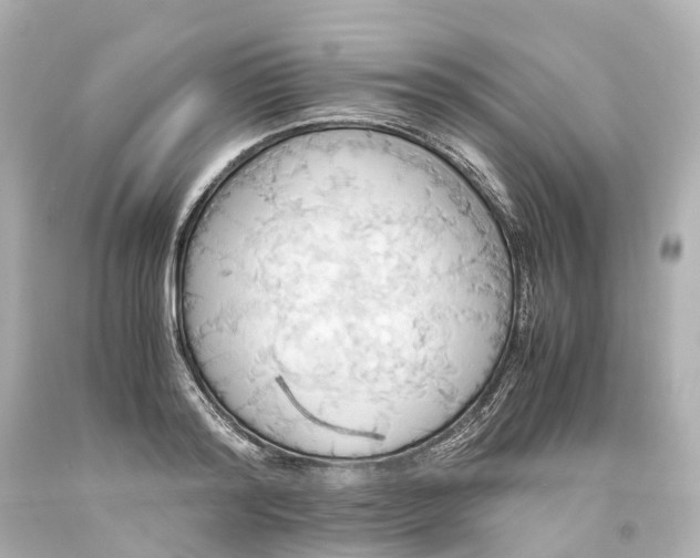 X0000093610796200710291204