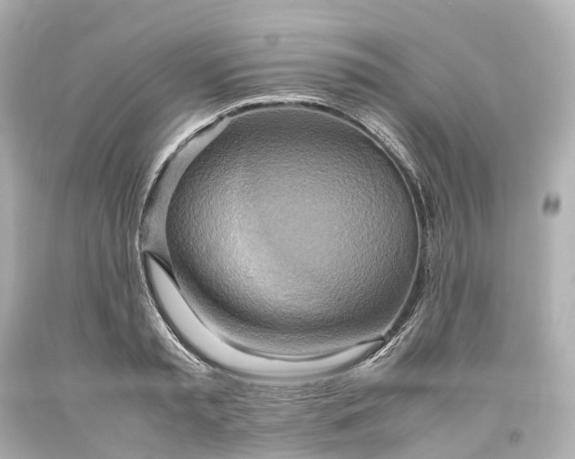 X0000093610797200710291204
