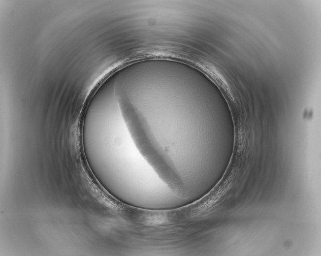 X0000093610798200710291204