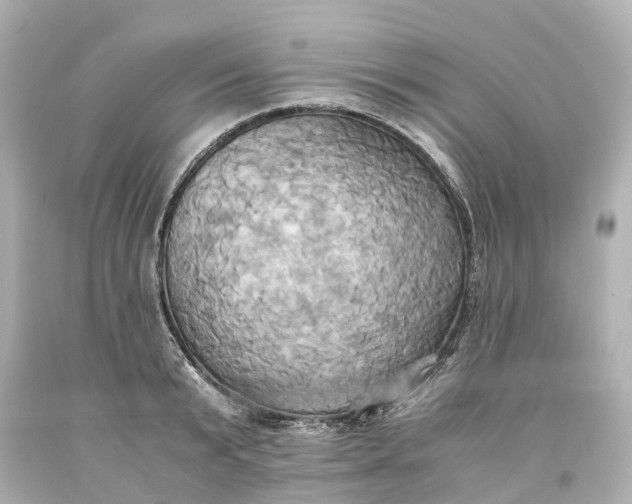 X0000093610799200710291204