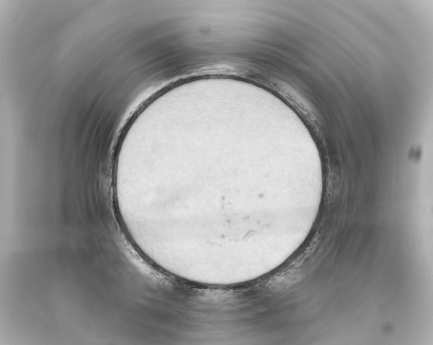 X0000093610800200710291204