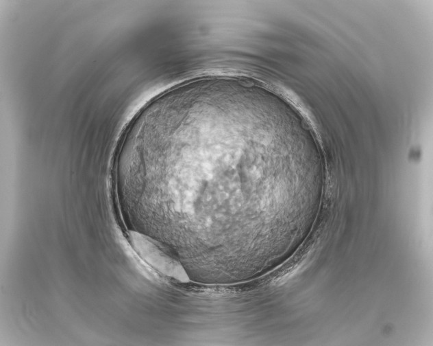 X0000093610803200710291204