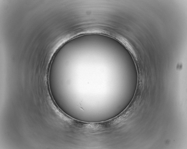 X0000093610805200710291204