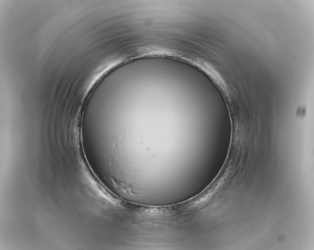X0000093610806200710291204