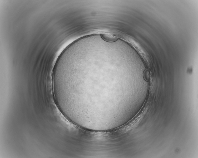 X0000093610808200710291204