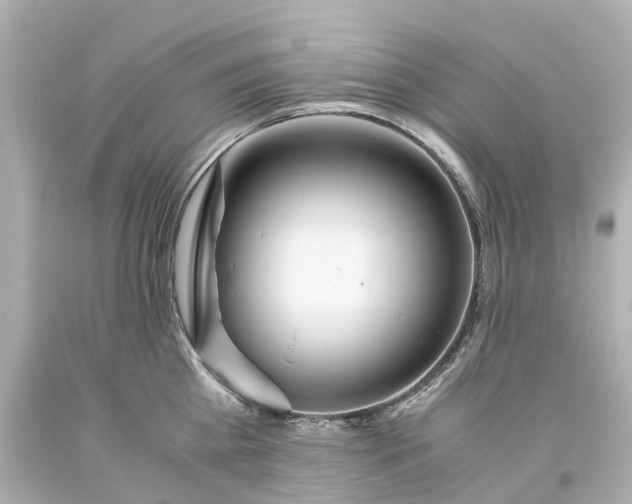 X0000093610809200710291204