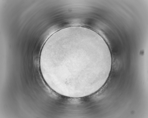 X0000093610810200710291204
