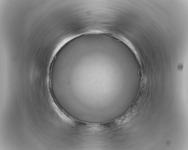 X0000093610811200710291204