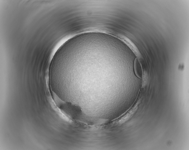X0000093610812200710291204