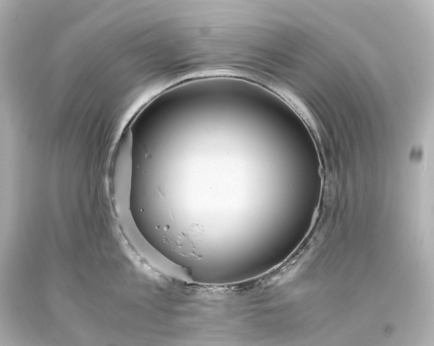 X0000093610813200710291204
