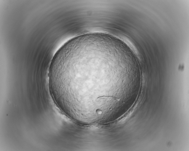 X0000093610814200710291204