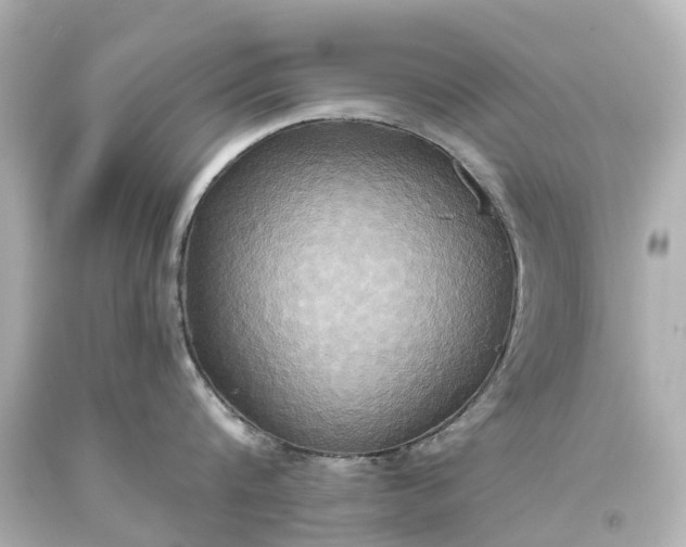 X0000093610816200710291204