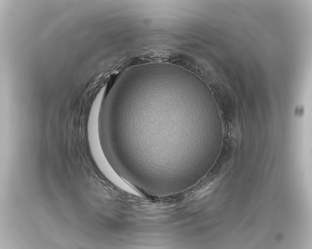 X0000093610818200710291203