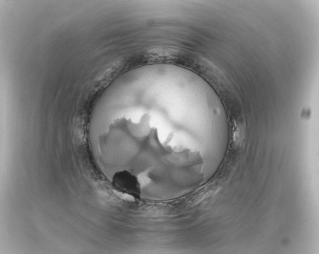 X0000093610819200710291203