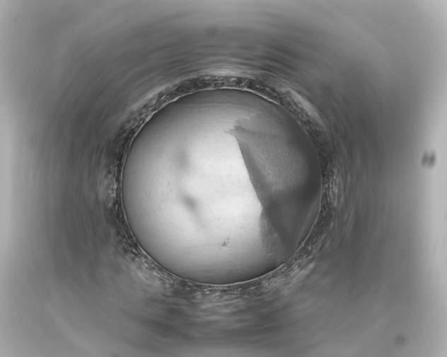 X0000093610821200710291203