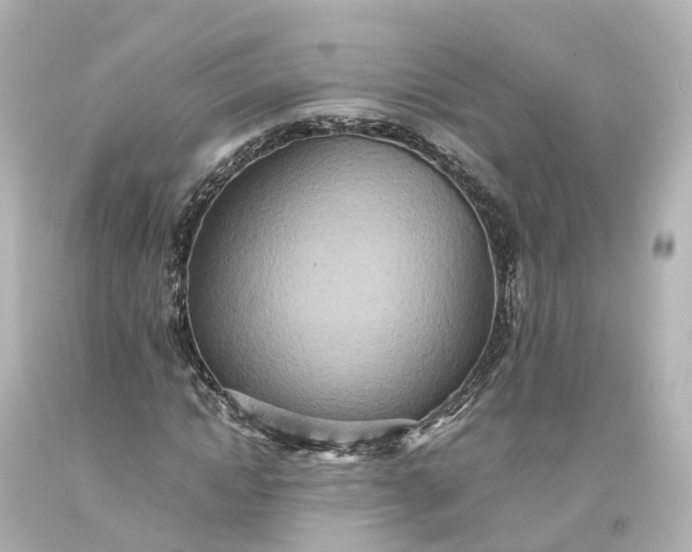 X0000093610822200710291203
