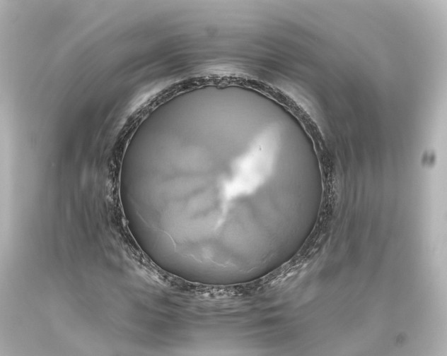 X0000093610823200710291203