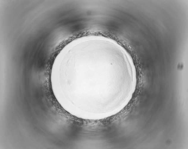 X0000093610824200710291203