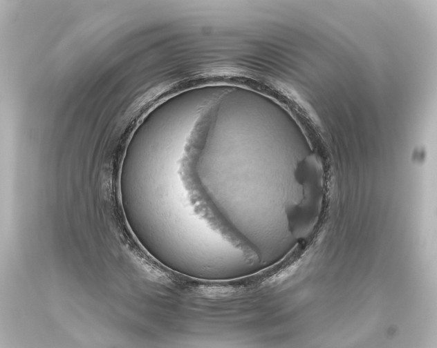 X0000093610825200710291203
