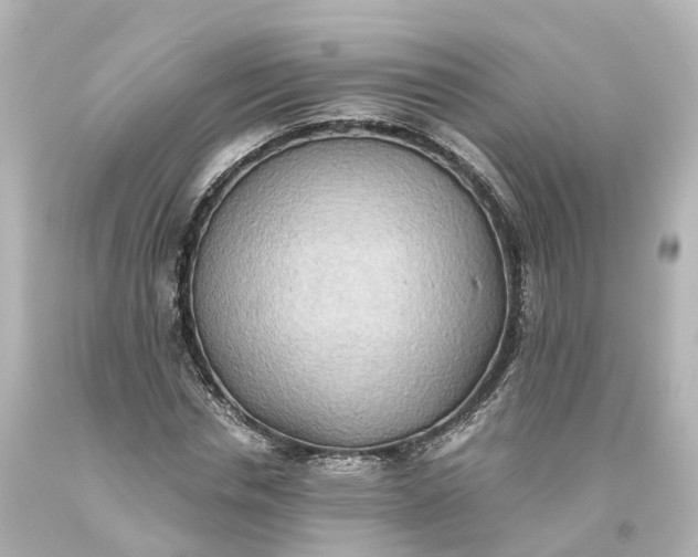 X0000093610826200710291203