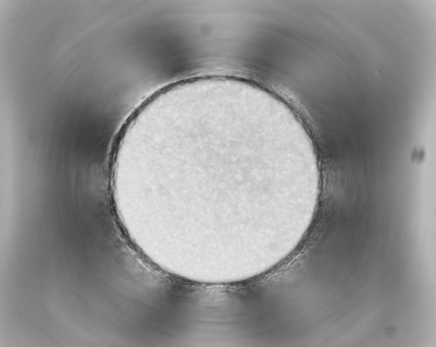X0000093610828200710291203