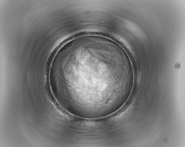 X0000093610829200710291203