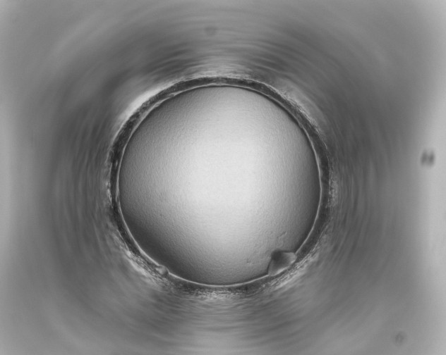 X0000093610830200710291203