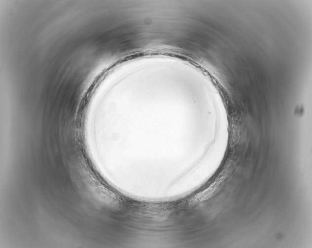 X0000093610832200710291203