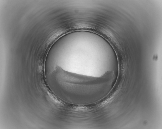 X0000093610833200710291203