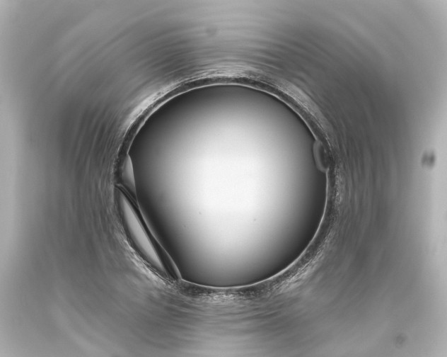 X0000093610834200710291203