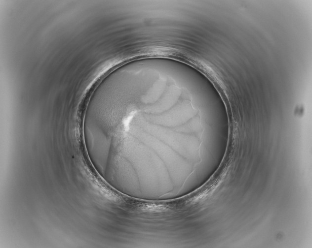 X0000093610835200710291203