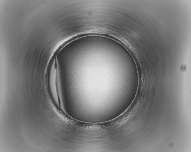 X0000093610838200710291203