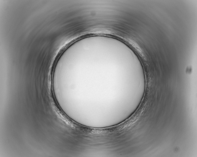 X0000093610840200710291204