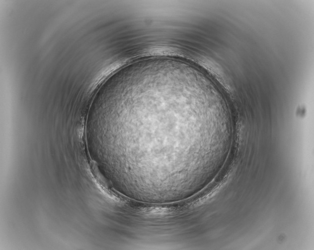 X0000093610841200710291204