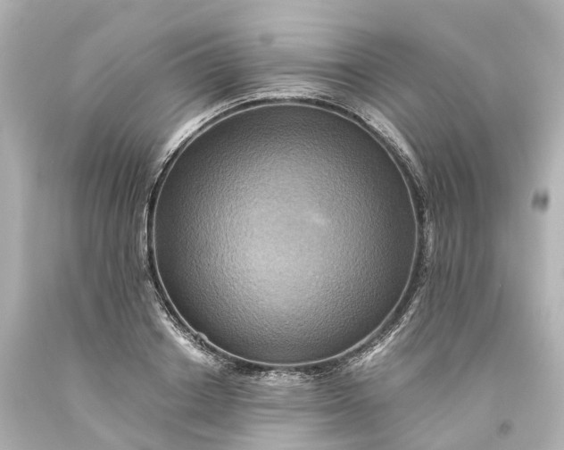 X0000093610842200710291204