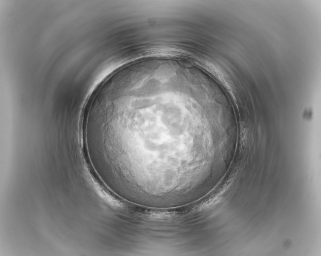 X0000093610843200710291204