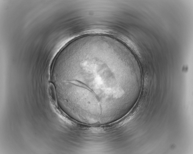 X0000093610844200710291204