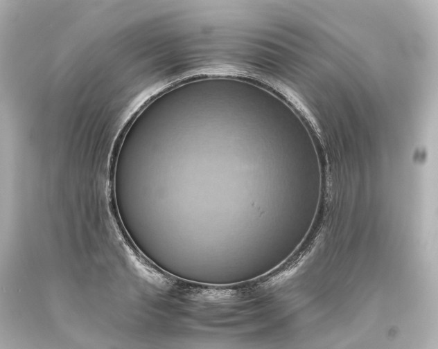 X0000093610845200710291204