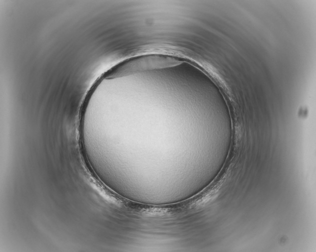 X0000093610846200710291204