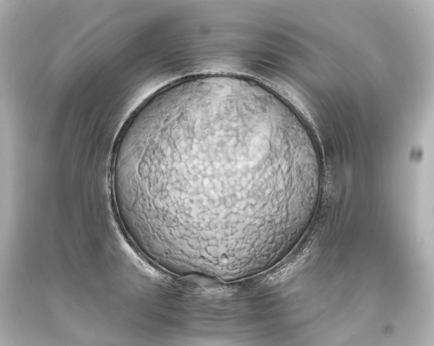 X0000093610847200710291204